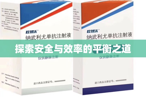 宁波探索安全与效率的平衡之道