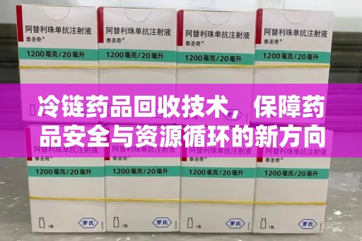 宁波冷链药品回收技术，保障药品安全与资源循环的新方向