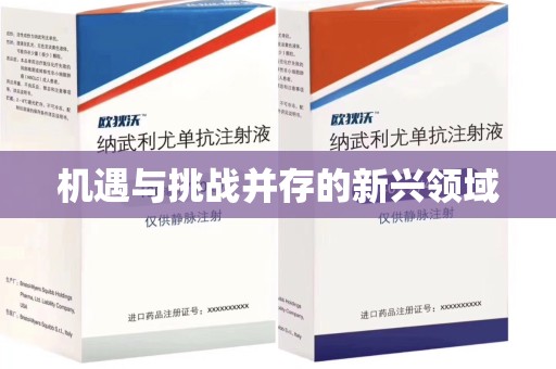 宁波机遇与挑战并存的新兴领域