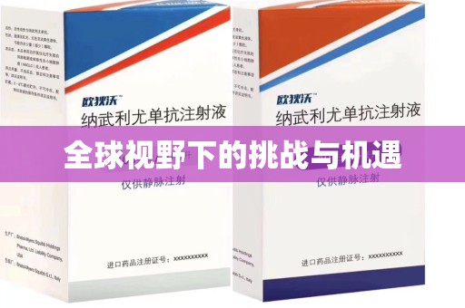 宁波全球视野下的挑战与机遇