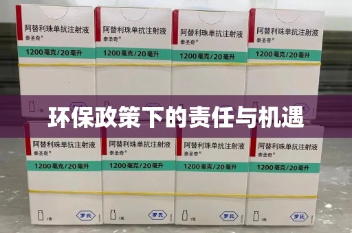 宁波环保政策下的责任与机遇