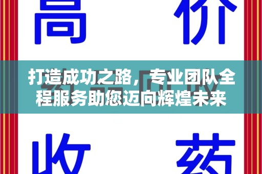 宁波打造成功之路，专业团队全程服务助您迈向辉煌未来