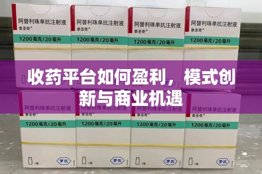 宁波收药平台如何盈利，模式创新与商业机遇