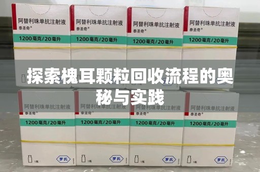 宁波探索槐耳颗粒回收流程的奥秘与实践